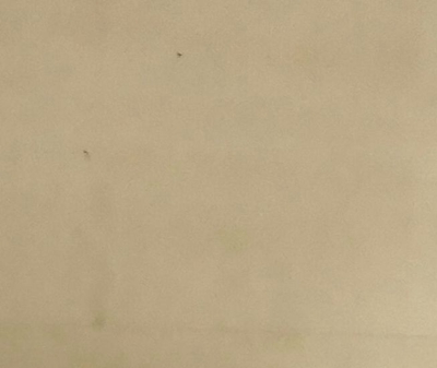 IMG_20180504_170657_副本