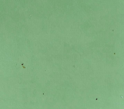 IMG_20180504_171020_副本