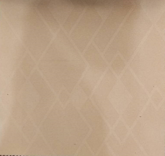 1553582921(1)